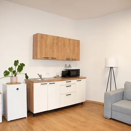 Διαμέρισμα U Radnice, 3 *