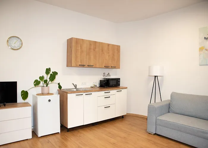 Апартаменты U Radnice, 3 *